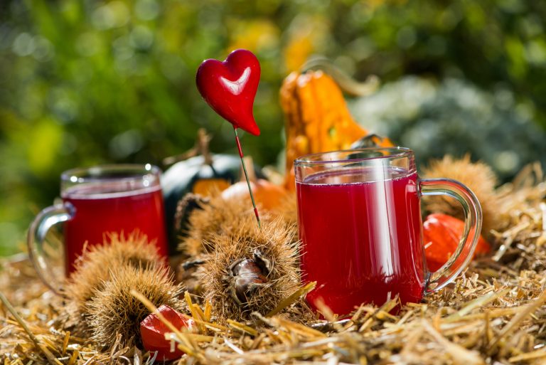 Der Schilchersturm ist da – frisch abgefüllt kaufen